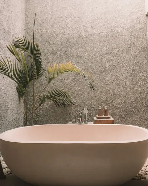 Baignoire de pierre claire et palmier en pot contre un mur enduit
