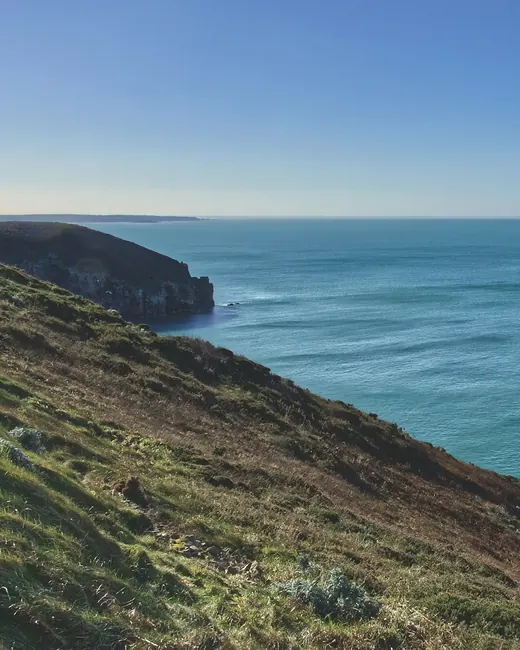 Sentier sur la falaise herbue, la mer bleue en contrebas